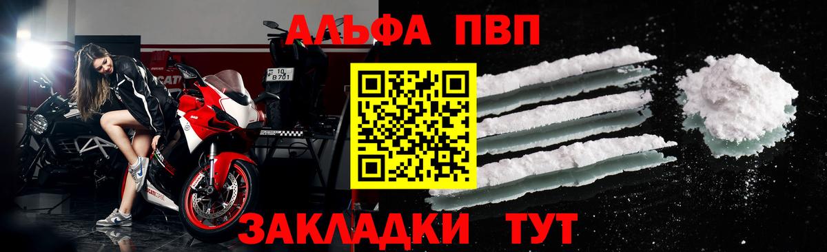 Альфа ПВП СК КРИС Архангельск