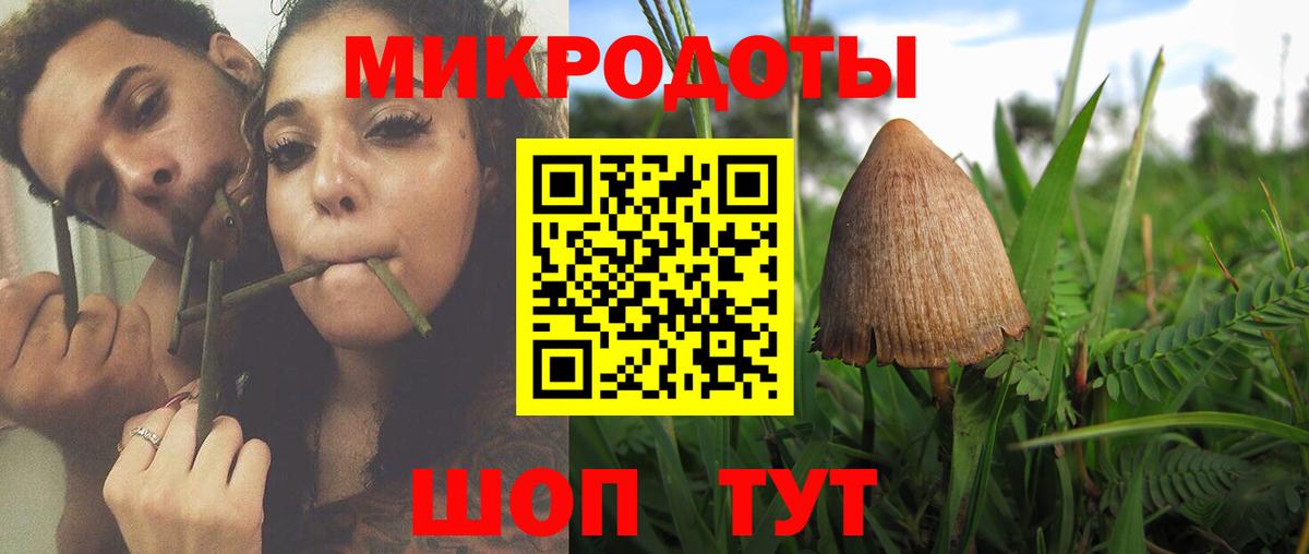 Псилоцибиновые грибы Cubensis Архангельск
